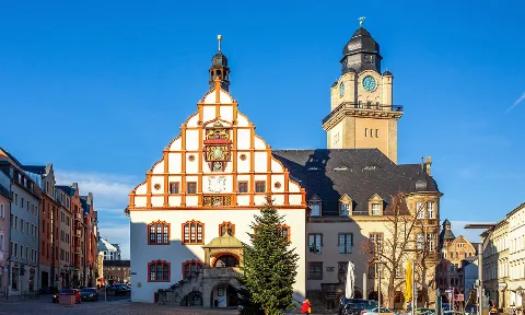 Schwimmbadreinigung in Plauen