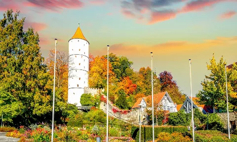 Bodenreinigung in Biberach an der Riß