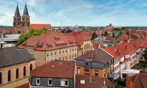 Bodenreinigung  Landau in der Pfalz